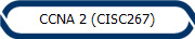 CCNA 2 (CISC267)