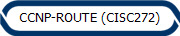 CCNP-ROUTE (CISC272)