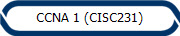 CCNA 1 (CISC231)